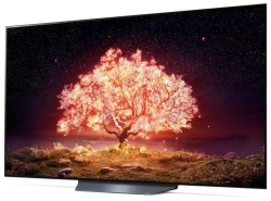 Телевизор LG 65"; OLED65В1RLA