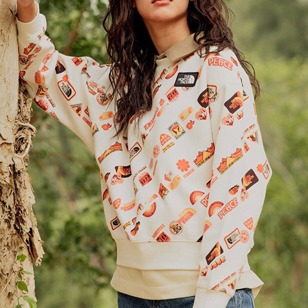 Толстовки THE NORTH FACE Vanlife Logo, NF0A5JW9-11P