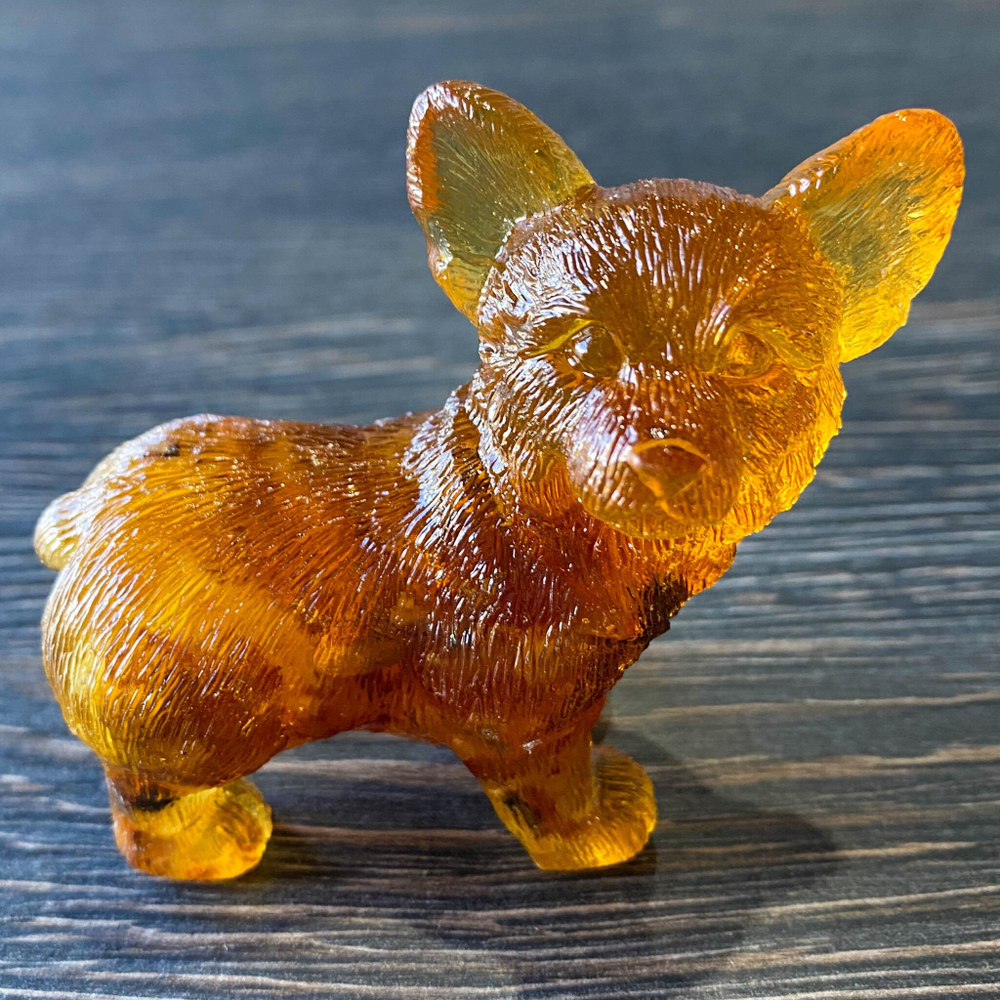 Корги