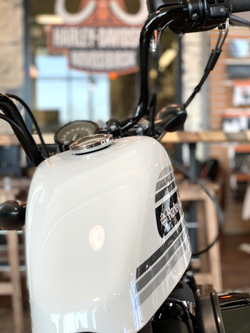 Sportster 1200 Forty-Eight Special (XL1200XS) Harley-Davidson, 2020