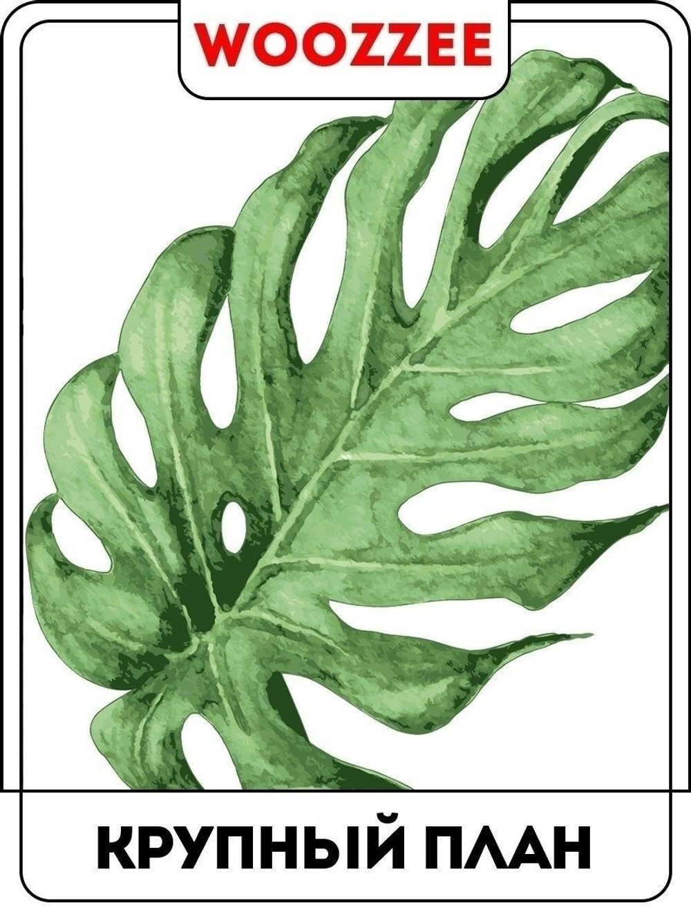 Наклейка декоративная "Зеленая Монстера"