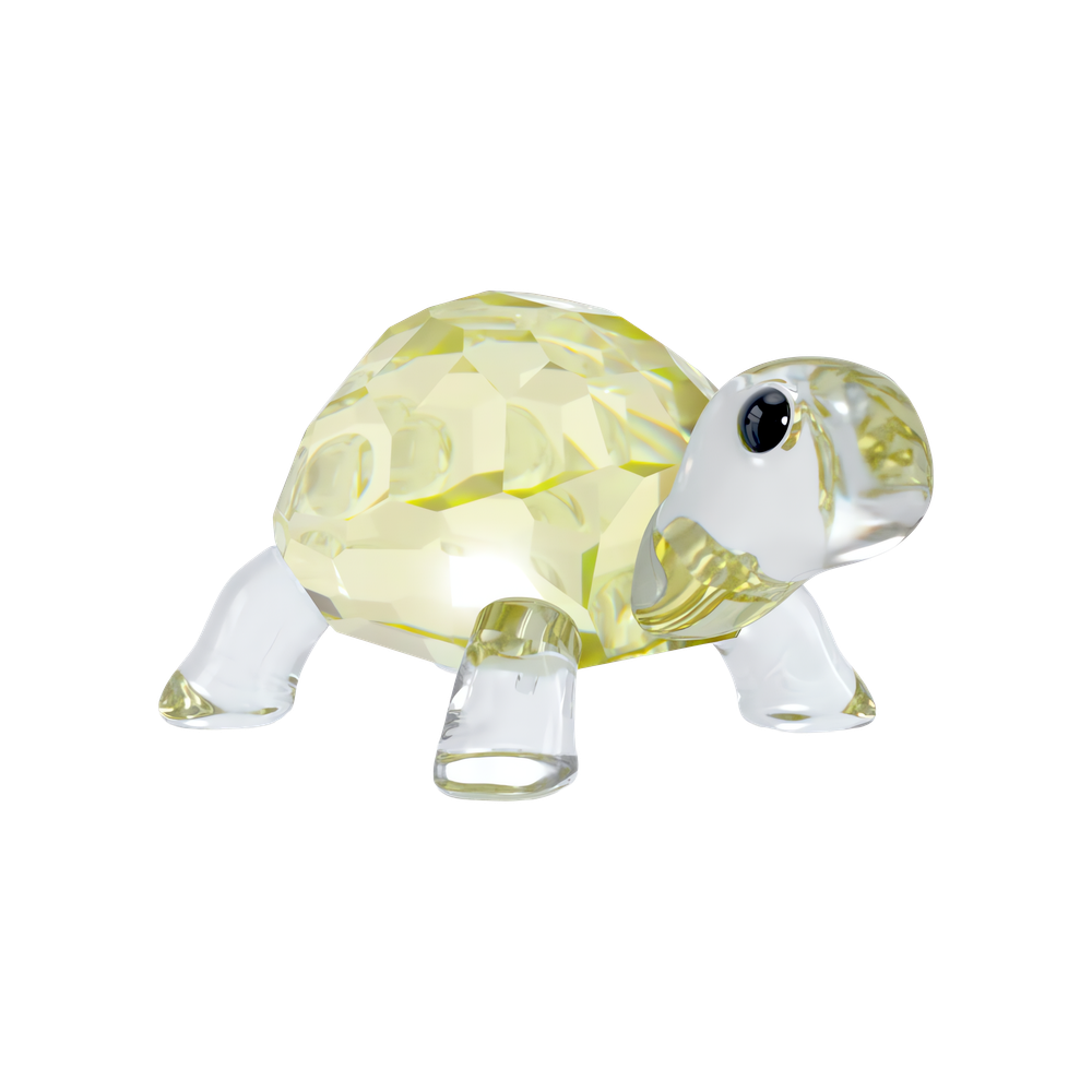 IDYLLIA:BABY TORTOISE