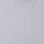 Свитшот Anteater Crewneck (grey)