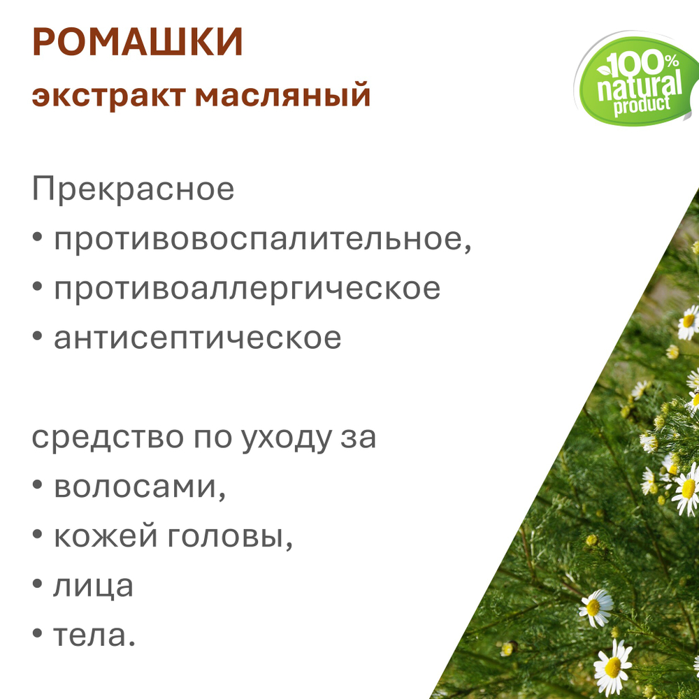 Экстракт ромашки, масляный