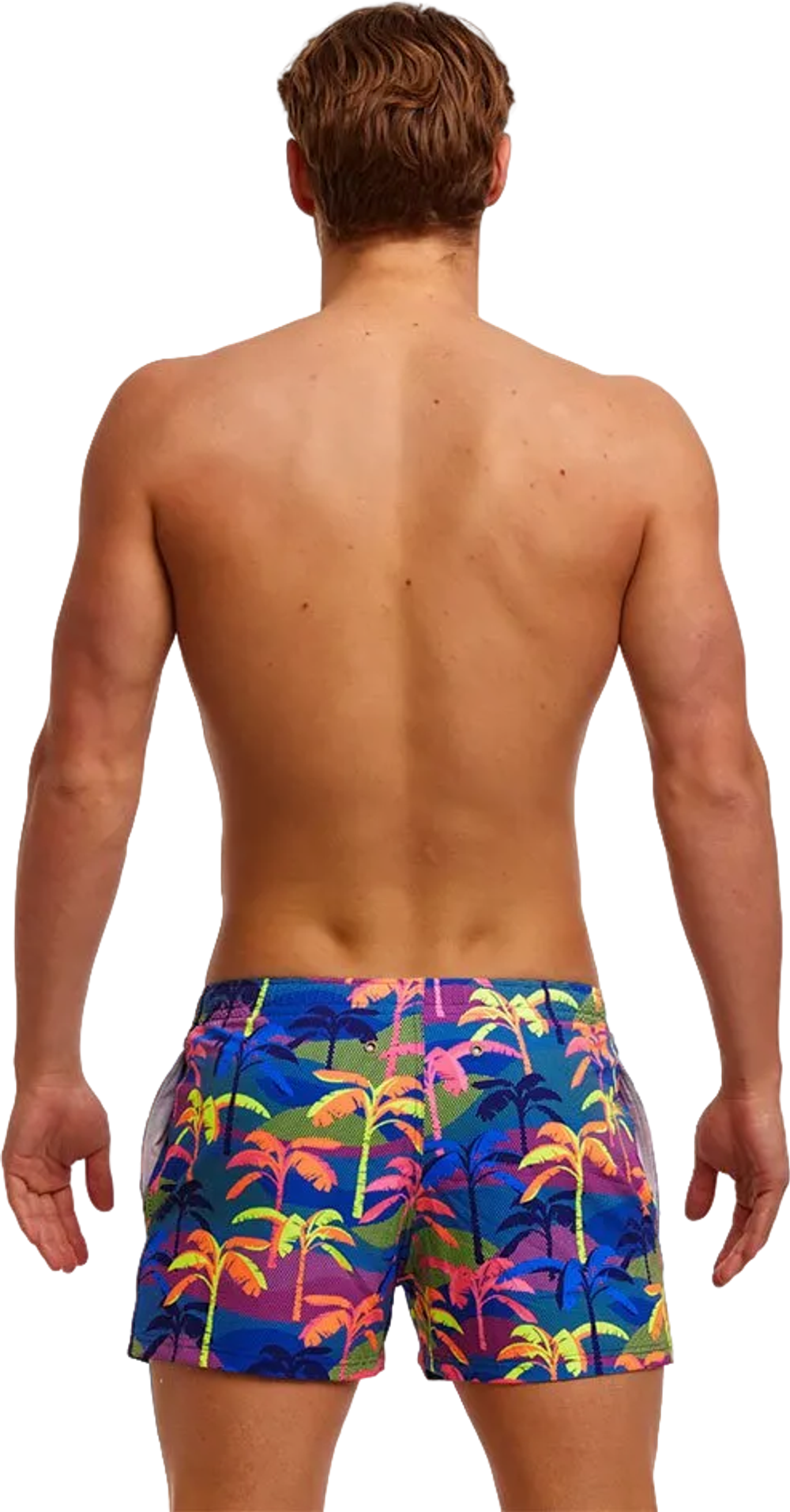 Шорты FUNKY TRUNKS Men’s Palm A Lot