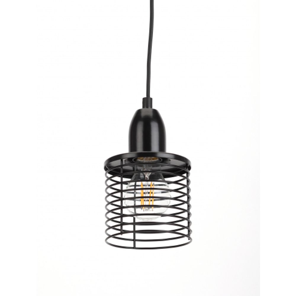 Светильник подвесной (подвес) ЭРА PL5 BK металл, E27, max 60W, высота плафона 170мм, подвеса 800мм, черный