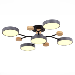 Светильник потолочный Evoluce Faema SLE6006-702-05