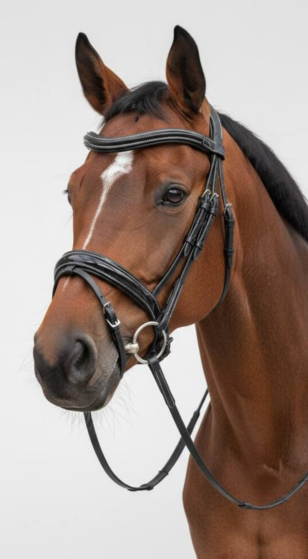 Оголовье (уздечка) с лаковым капсюлем