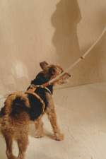 Поводок "Пони-Макарони" Рыжий (бежевый канат)