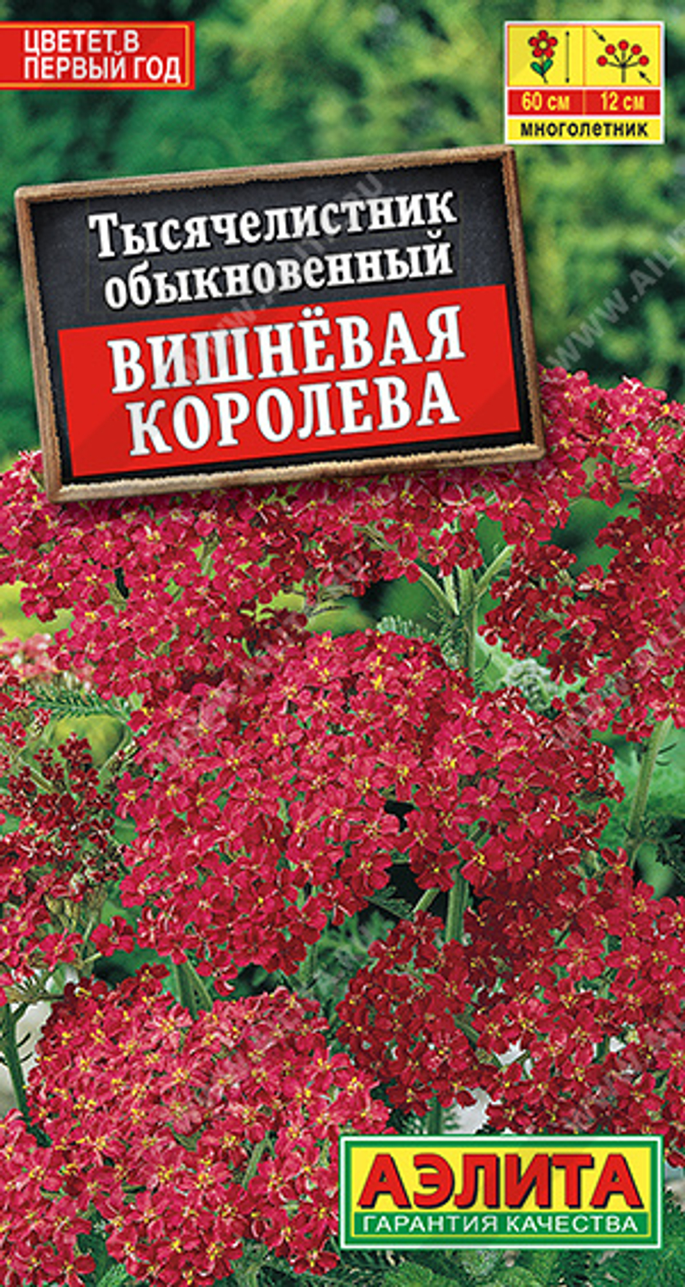 Тысячелистник Вишневая королева 0,1гр Аэлита