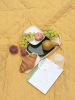 Плед дорожный Smart Picnic | горчичный