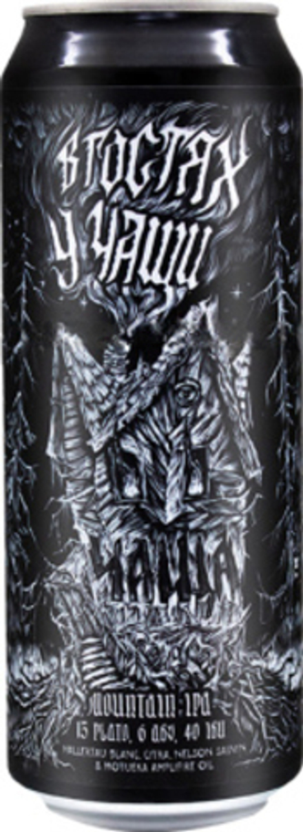 Пиво Чаща В Гостях У Чащи / Chascha V Gostyah U Chashi 0.45 - банка