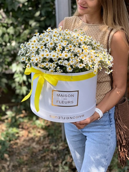 Полевые ромашки в коробке