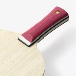 Butterfly MIZUTANI JUN MAJOR (Japan)