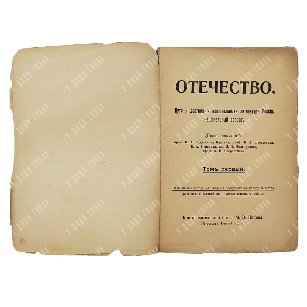 Отечество. Пути и достижения национальных литератур России. Национальный вопрос. Т. 1 (единс.) 1916