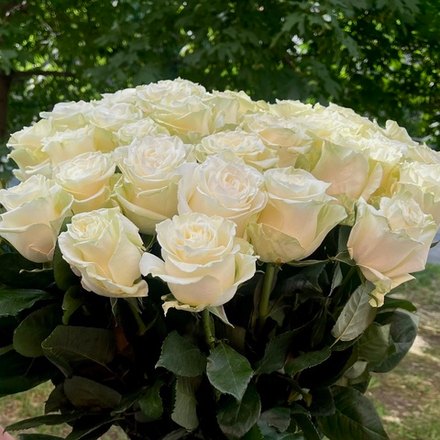 Букет "Белый бал" 51 шт.