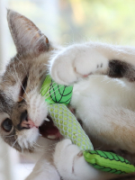 Petstages игрушка для кошек Dental "Мятный листик" 11 см