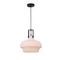 Подвесной светильник Arte Lamp Arno A3624SP-1WH