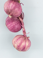 Лук фиолетовый