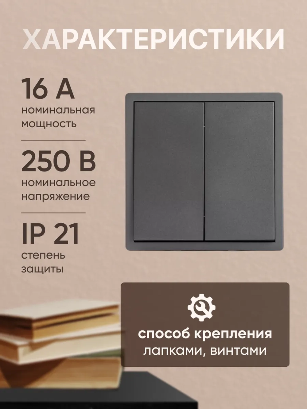 Выключатель двухклавишный внутренний с рамкой серый