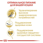 Корм Royal Canin Kitten Sphynx для кошек породы сфинкс возрастом от 3 до 12 месяцев 0.4кг