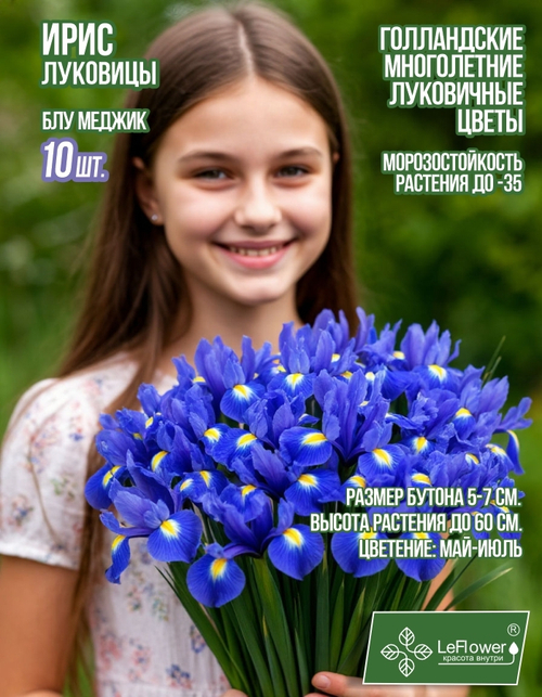 Ирис луковицы 10шт., Блю Меджик, для посадки в грунт. Голландия, Нидерланды
