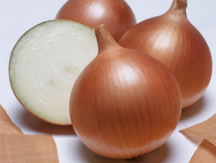 Бенефит F1 семена лука репчатого (Takii / Таки)