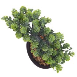 GAEM Цветочная композиция "Бонсай", L24 W14 H26 см, 2в.