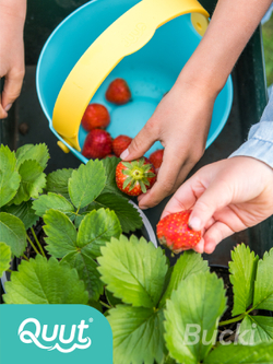 Ведёрко с ситом Quut Bucki