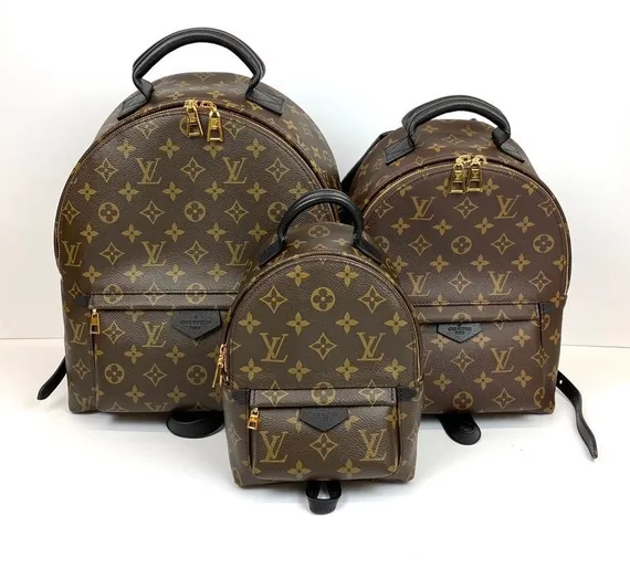Рюкзак Louis Vuitton Palm Springs PM коричневый