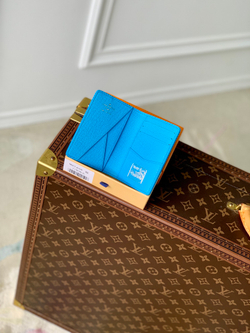 Louis Vuitton Pocket Organizer