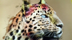 Микровелюр Xpoint (Икспоинт) 0034.01 Леопард