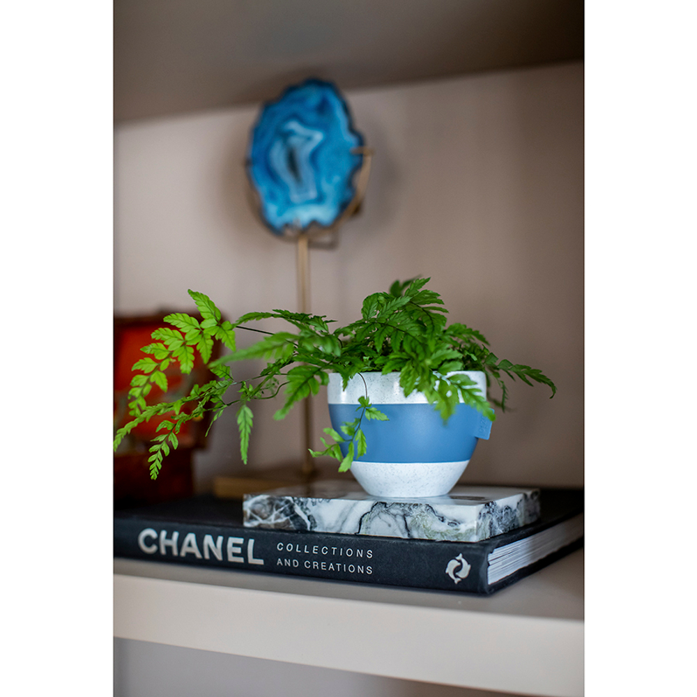 Чашка с термоэффектом aroma, organic, 270 мл, темно-серая