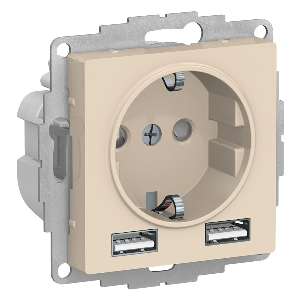 Розетка с заземлением с 2 USB  Systeme Electric ATN000230