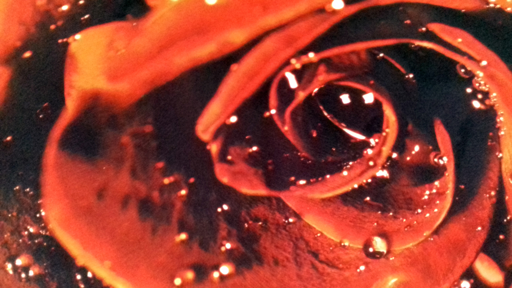 Микровелюр Xpoint (Икспоинт) 0043.01 Роза