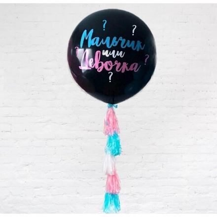 Шар на Gender Party №1