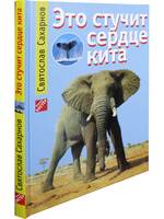 Это стучит сердце кита.