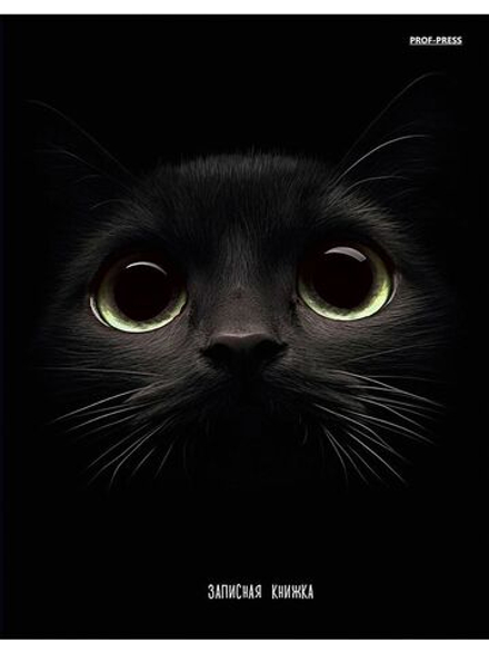 Блокнот А5 7БЦ 160л "Взгляд кота" клетка, глянц.лам.