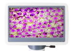Микроскоп цифровой Levenhuk D85L LCD, монокулярный, может вести фото- и видеозапись исследований