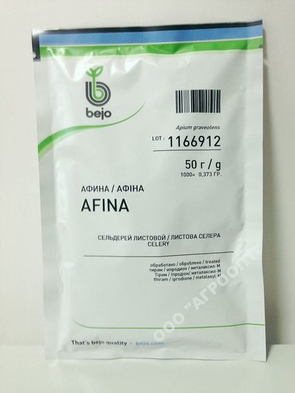 АФИНА семена сельдерея (Bejo | Alexagro)
