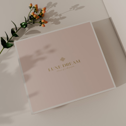 Постельное белье 2 спальное евро макси Luxe Dream Терра