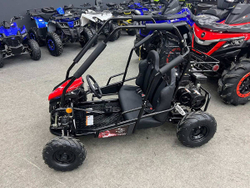 Багги SHARMAX Тигр 250