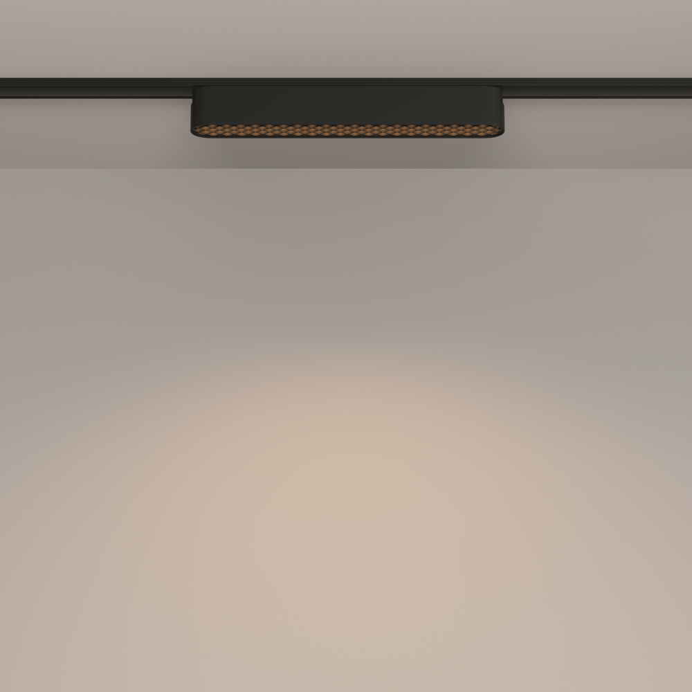 Трековый светильник Technical TR084-1-12W3K-B