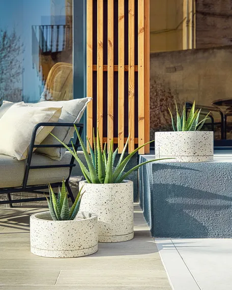 Кресло Mareluz с черным каркасом