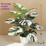 Искусственная Монстера Альба в кашпо