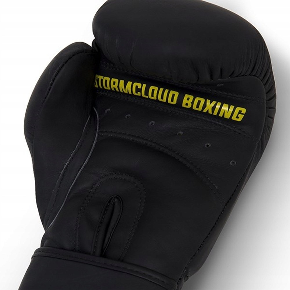 Боксерские перчатки StormCloud Boxing Pro чёрные