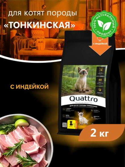 Корм сухой для котят породы Тонкинская, с индейкой, 2кг, QUATTRO