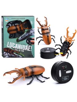 Игрушка Жук радиоуправляемый (9996G)