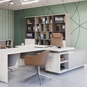 Кабинет руководителя Vilas