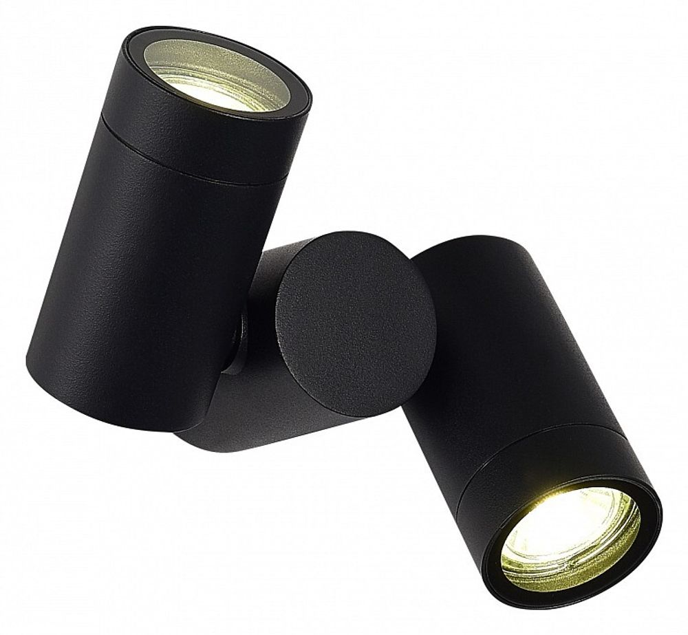 Светильник на штанге ST-Luce Ecollo SL9011.402.02